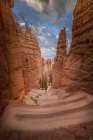 Hiking trail into Bryce Canyon, Bryce Canyon National Park, Utah Art Print
